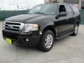 2009 Black Ford Expedition XLT  photo #7
