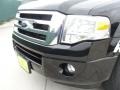 2009 Black Ford Expedition XLT  photo #11