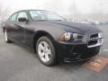 Blackberry Pearl 2011 Dodge Charger Gallery