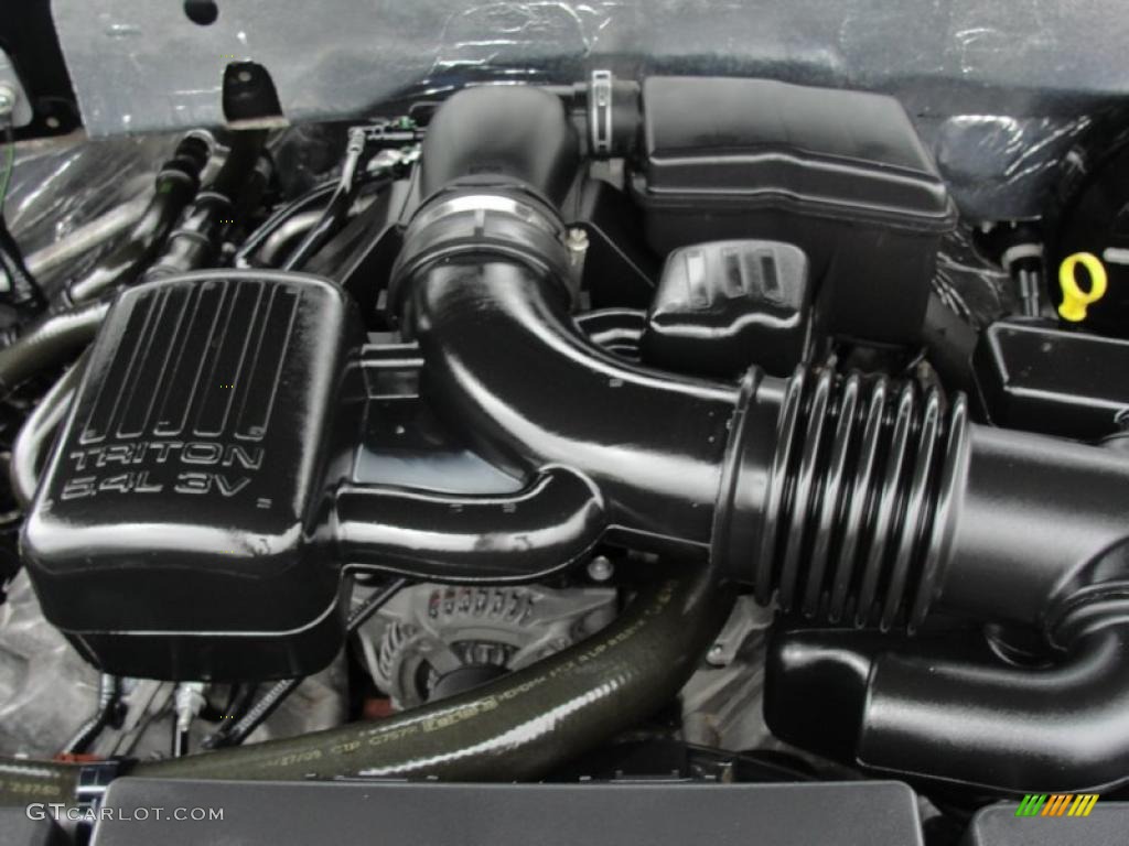 2009 Ford Expedition XLT 5.4 Liter SOHC 24-Valve Flex-Fuel V8 Engine Photo #46981131