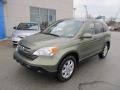 2007 Green Tea Metallic Honda CR-V EX-L 4WD  photo #2