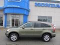 2007 Green Tea Metallic Honda CR-V EX-L 4WD  photo #3