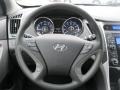 Iridescent Silver Blue Metallic - Sonata GLS Photo No. 4