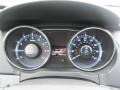 Iridescent Silver Blue Metallic - Sonata GLS Photo No. 23