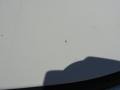 2004 Super White Toyota Tacoma V6 PreRunner TRD Double Cab  photo #12