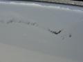 2004 Super White Toyota Tacoma V6 PreRunner TRD Double Cab  photo #26