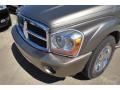 Light Khaki Metallic - Durango Limited Photo No. 10