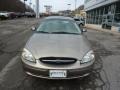 Arizona Beige Metallic - Taurus SES Photo No. 6