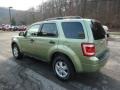 Kiwi Green Metallic - Escape XLT V6 4WD Photo No. 4