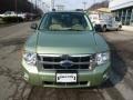 Kiwi Green Metallic - Escape XLT V6 4WD Photo No. 6