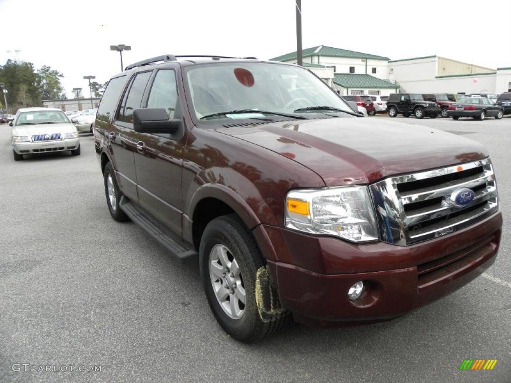 2010 Expedition XLT - Royal Red Metallic / Camel photo #1