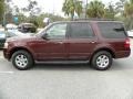 Royal Red Metallic 2010 Ford Expedition XLT Exterior
