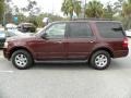 2010 Royal Red Metallic Ford Expedition XLT  photo #2