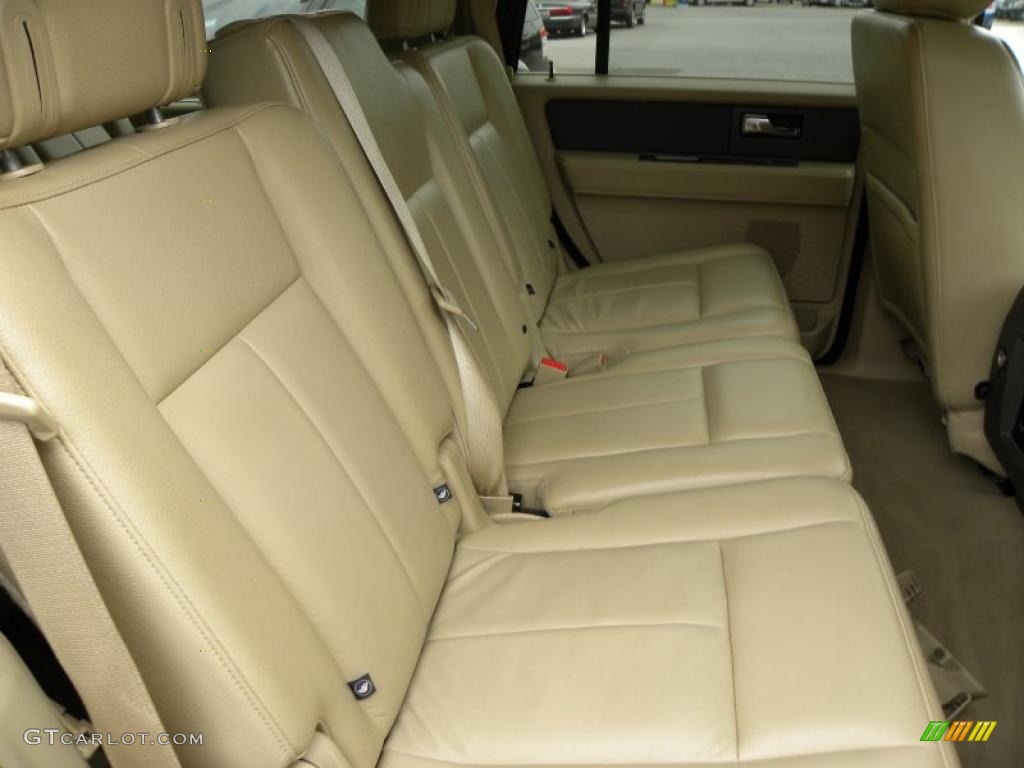 Camel Interior 2010 Ford Expedition XLT Photo #46996842