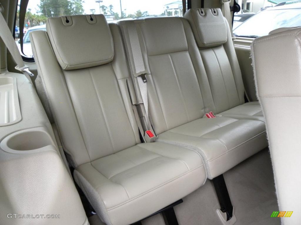 Camel Interior 2010 Ford Expedition XLT Photo #46996854
