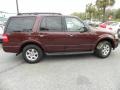Royal Red Metallic 2010 Ford Expedition XLT Exterior