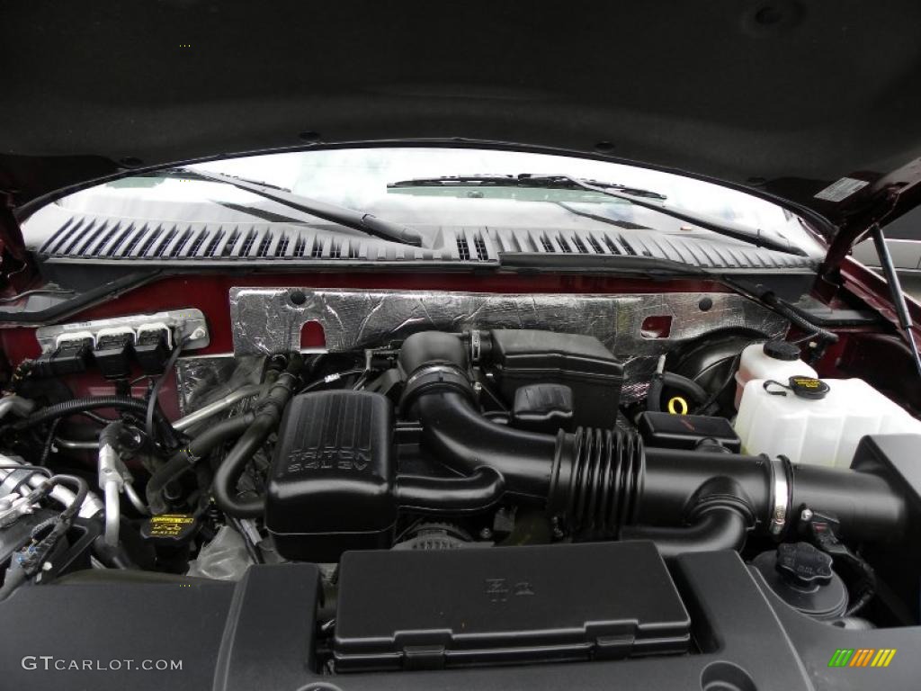2010 Ford Expedition XLT 5.4 Liter Flex-Fuel SOHC 24-Valve VVT V8 Engine Photo #46997022