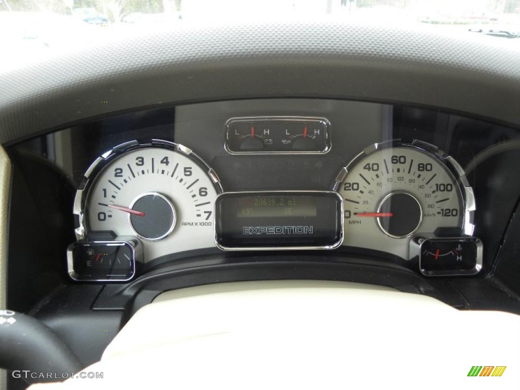 2010 Ford Expedition XLT Gauges Photo #46997082