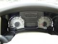 Camel Gauges Photo for 2010 Ford Expedition #46997082