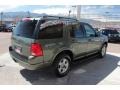 2002 Estate Green Metallic Ford Explorer Limited 4x4  photo #3