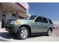 2002 Estate Green Metallic Ford Explorer Limited 4x4  photo #16