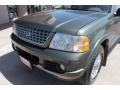 2002 Estate Green Metallic Ford Explorer Limited 4x4  photo #17