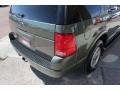 2002 Estate Green Metallic Ford Explorer Limited 4x4  photo #19