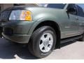 2002 Estate Green Metallic Ford Explorer Limited 4x4  photo #22