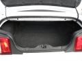 Charcoal Black/Cashmere Trunk Photo for 2010 Ford Mustang #46998840