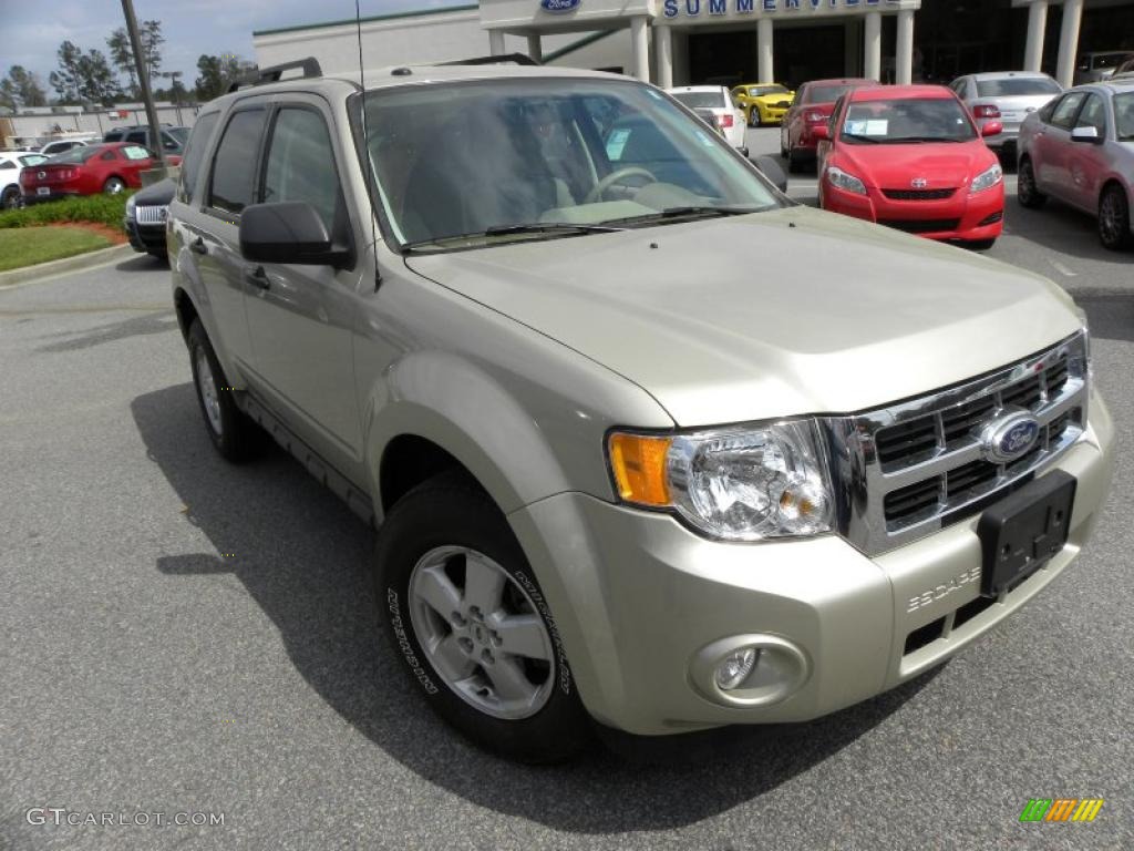2010 Escape XLT 4WD - Gold Leaf Metallic / Camel photo #1