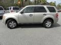 2010 Gold Leaf Metallic Ford Escape XLT 4WD  photo #2
