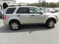 2010 Gold Leaf Metallic Ford Escape XLT 4WD  photo #13