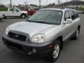 2003 Pewter Hyundai Santa Fe LX 4WD  photo #2