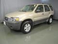 Dune Pearl Metallic 2007 Ford Escape XLS 4WD