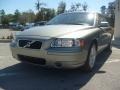 Willow Green Metallic - S60 2.5T Photo No. 7
