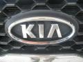 Titanium Silver - Sorento LX Photo No. 23