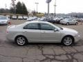 2008 Light Sage Metallic Ford Fusion SEL V6 AWD  photo #5