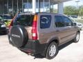 2004 Mojave Mist Metallic Honda CR-V EX 4WD  photo #3