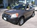2004 Mojave Mist Metallic Honda CR-V EX 4WD  photo #4