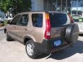 2004 Mojave Mist Metallic Honda CR-V EX 4WD  photo #6