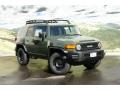 2011 Army Green Toyota FJ Cruiser 4WD  photo #1