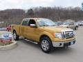Amber Gold Metallic 2009 Ford F150 Gallery