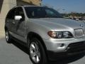 Titanium Silver Metallic - X5 4.4i Photo No. 3