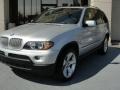 Titanium Silver Metallic - X5 4.4i Photo No. 4