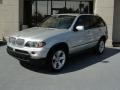 Titanium Silver Metallic - X5 4.4i Photo No. 6