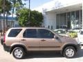 2004 Mojave Mist Metallic Honda CR-V EX 4WD  photo #18