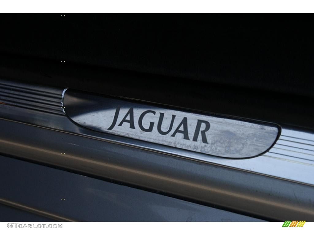 2002 Jaguar S-Type 4.0 Marks and Logos Photo #47016438