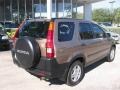 2004 Mojave Mist Metallic Honda CR-V EX 4WD  photo #19