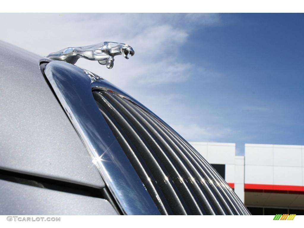 2002 Jaguar S-Type 4.0 Marks and Logos Photo #47016741