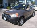 2004 Mojave Mist Metallic Honda CR-V EX 4WD  photo #20